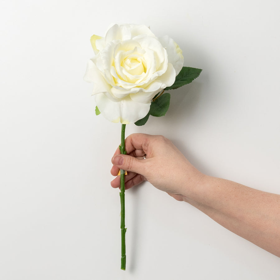 13" Short Stem Rose: Cream