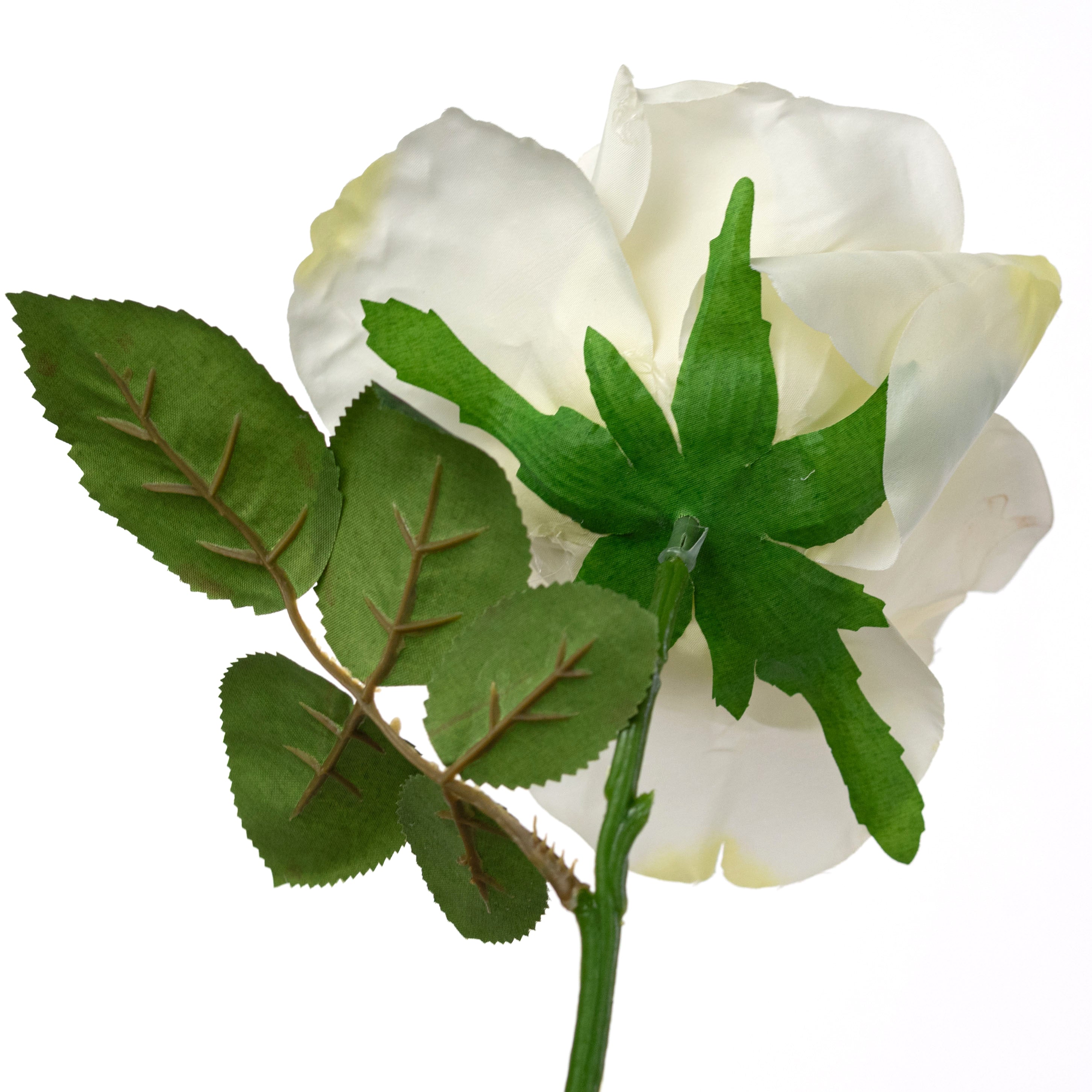 13" Short Stem Rose: Cream