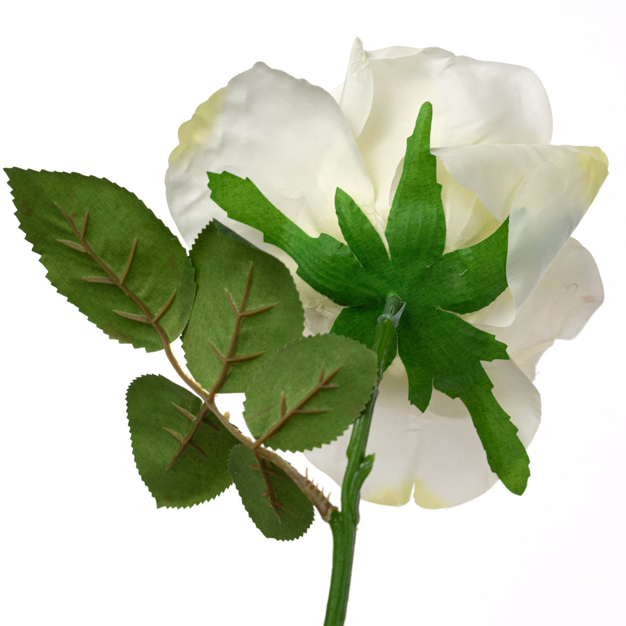 13" Short Stem Rose: Cream