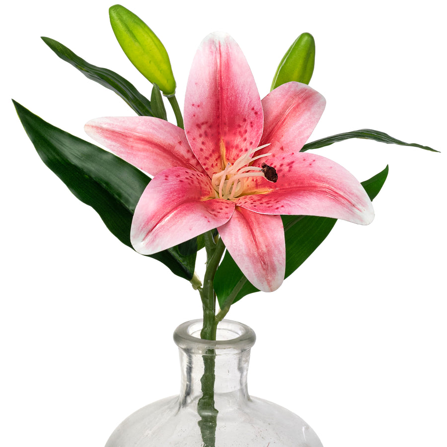 14" Stargazer Lily Stem: Pink