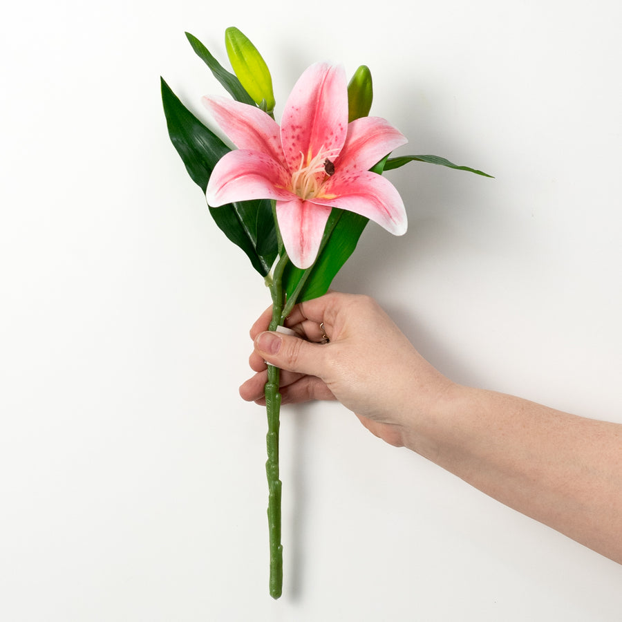 14" Stargazer Lily Stem: Pink