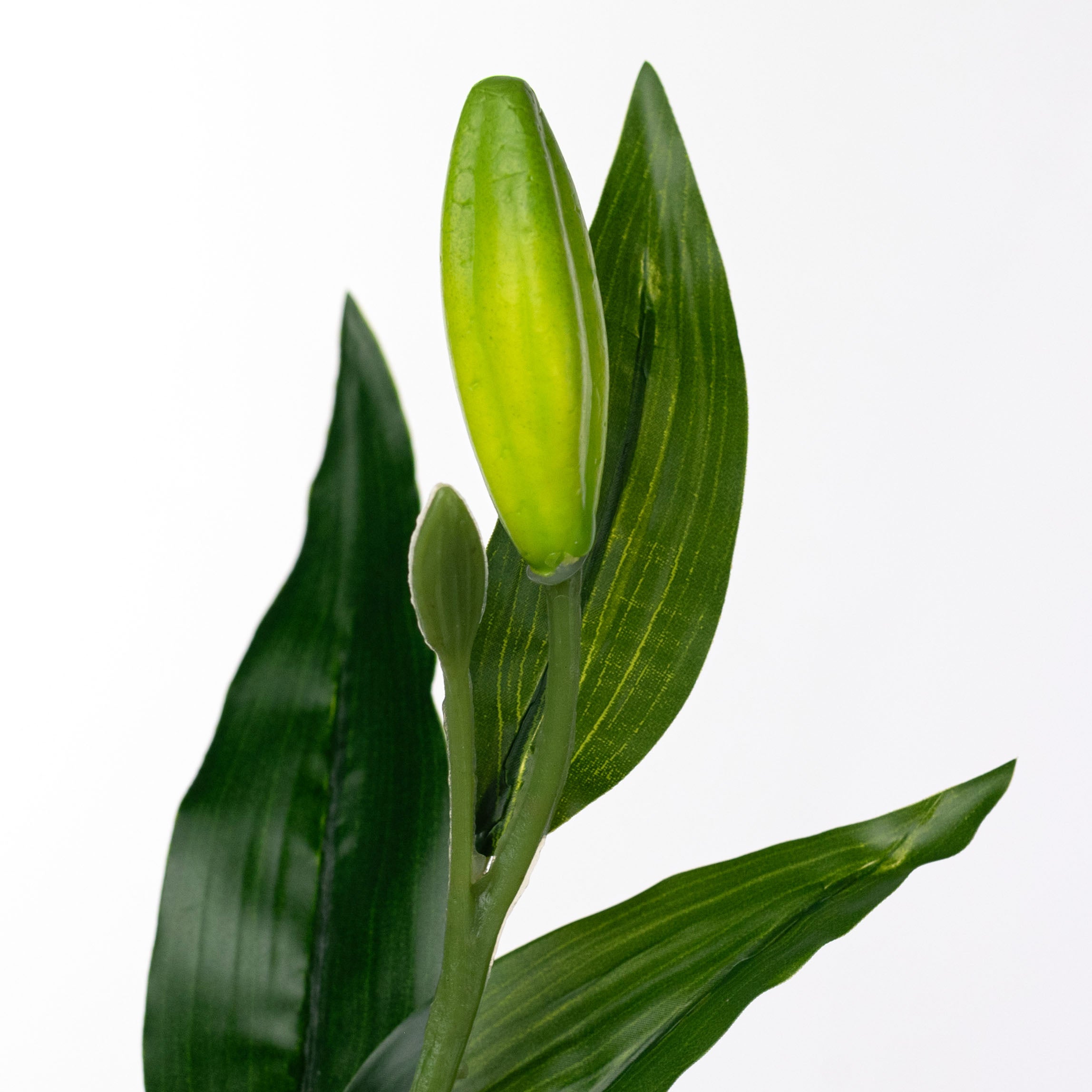 14" Stargazer Lily Stem: Pink