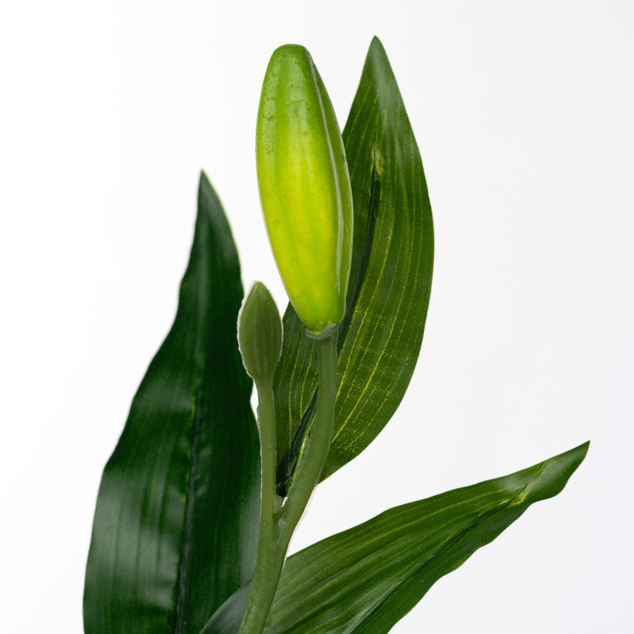 14" Stargazer Lily Stem: Pink