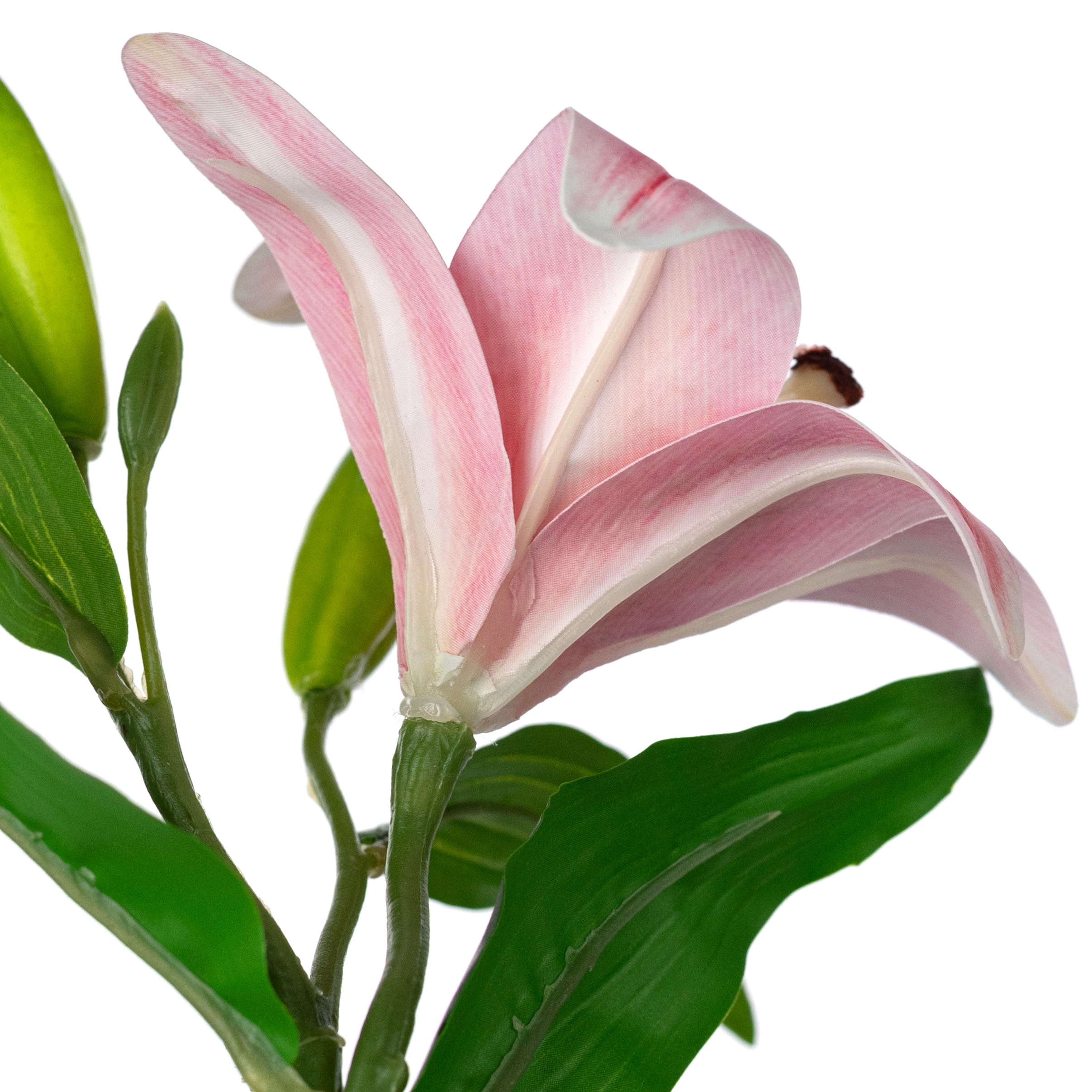 14" Stargazer Lily Stem: Pink