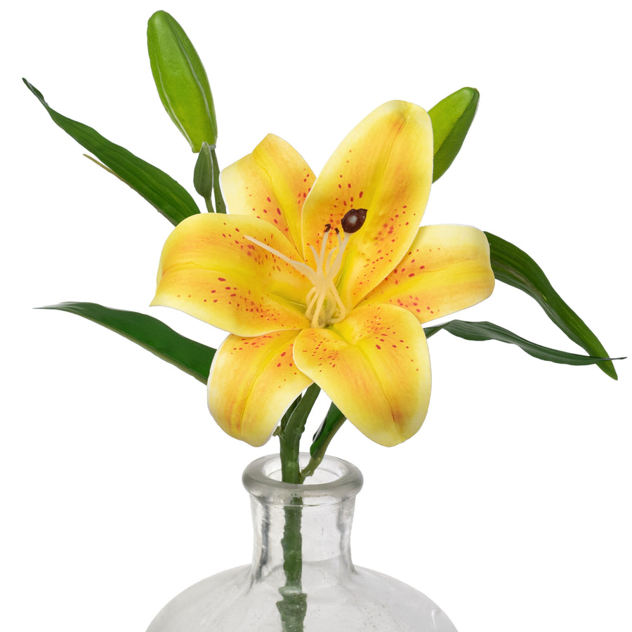 14" Stargazer Lily Stem: Yellow