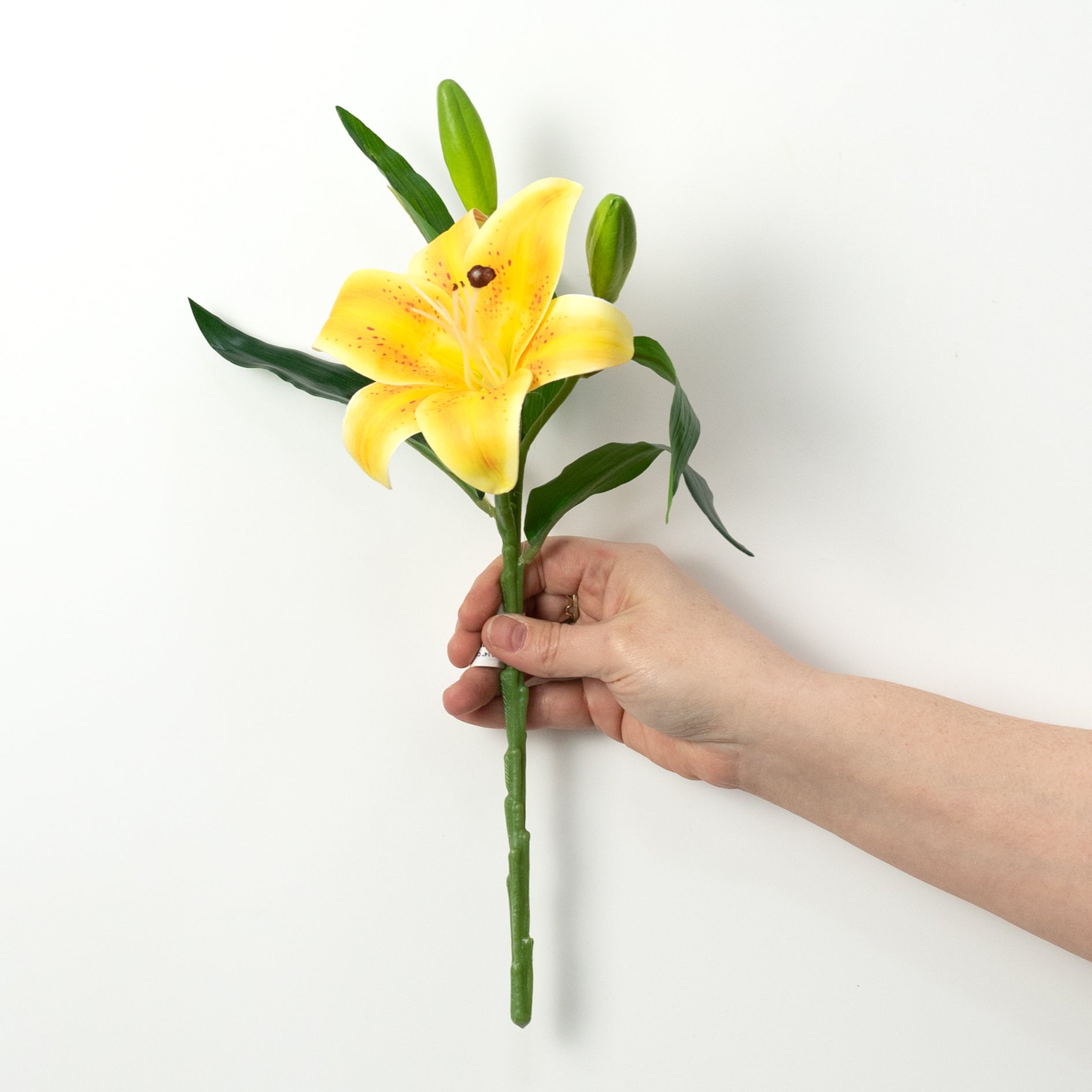 14" Stargazer Lily Stem: Yellow
