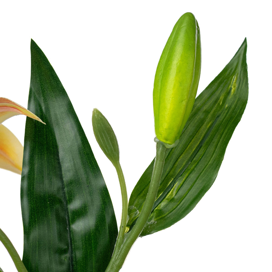 14" Stargazer Lily Stem: Yellow