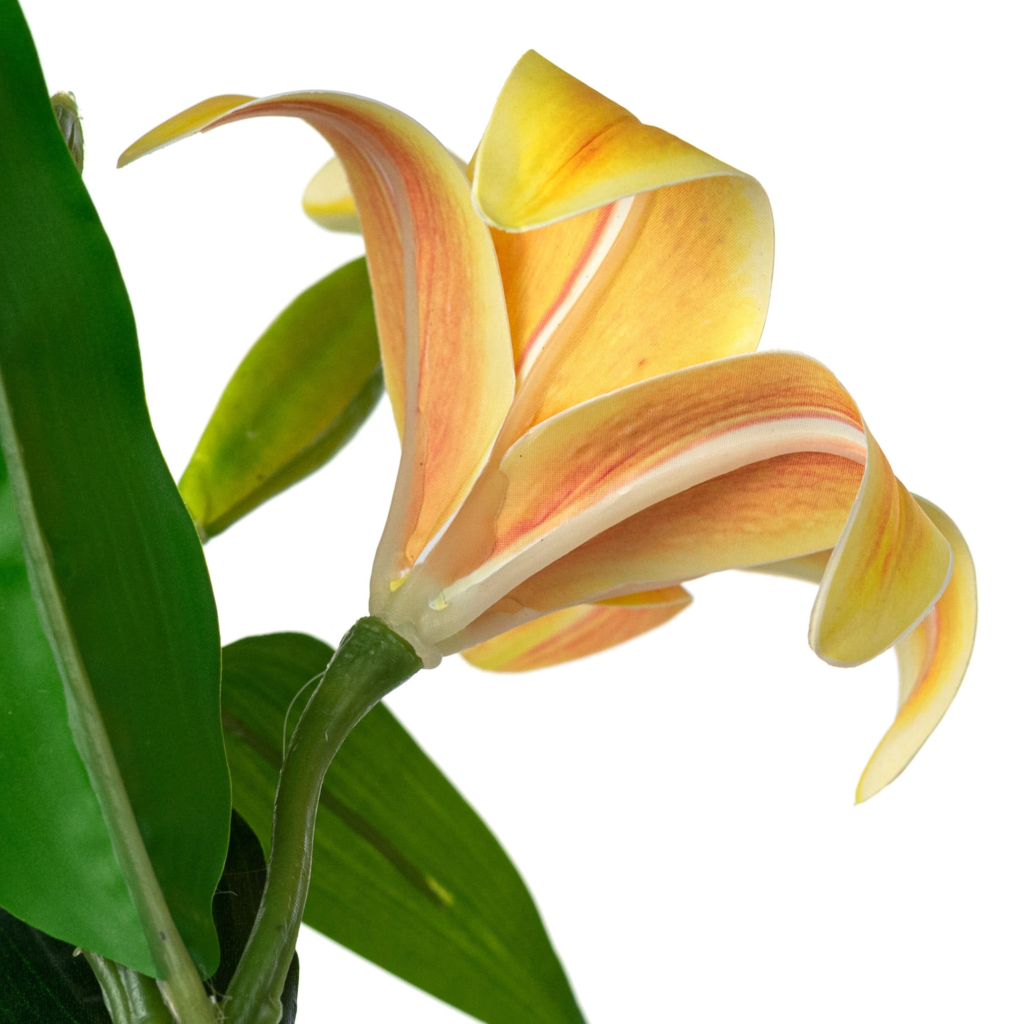 14" Stargazer Lily Stem: Yellow