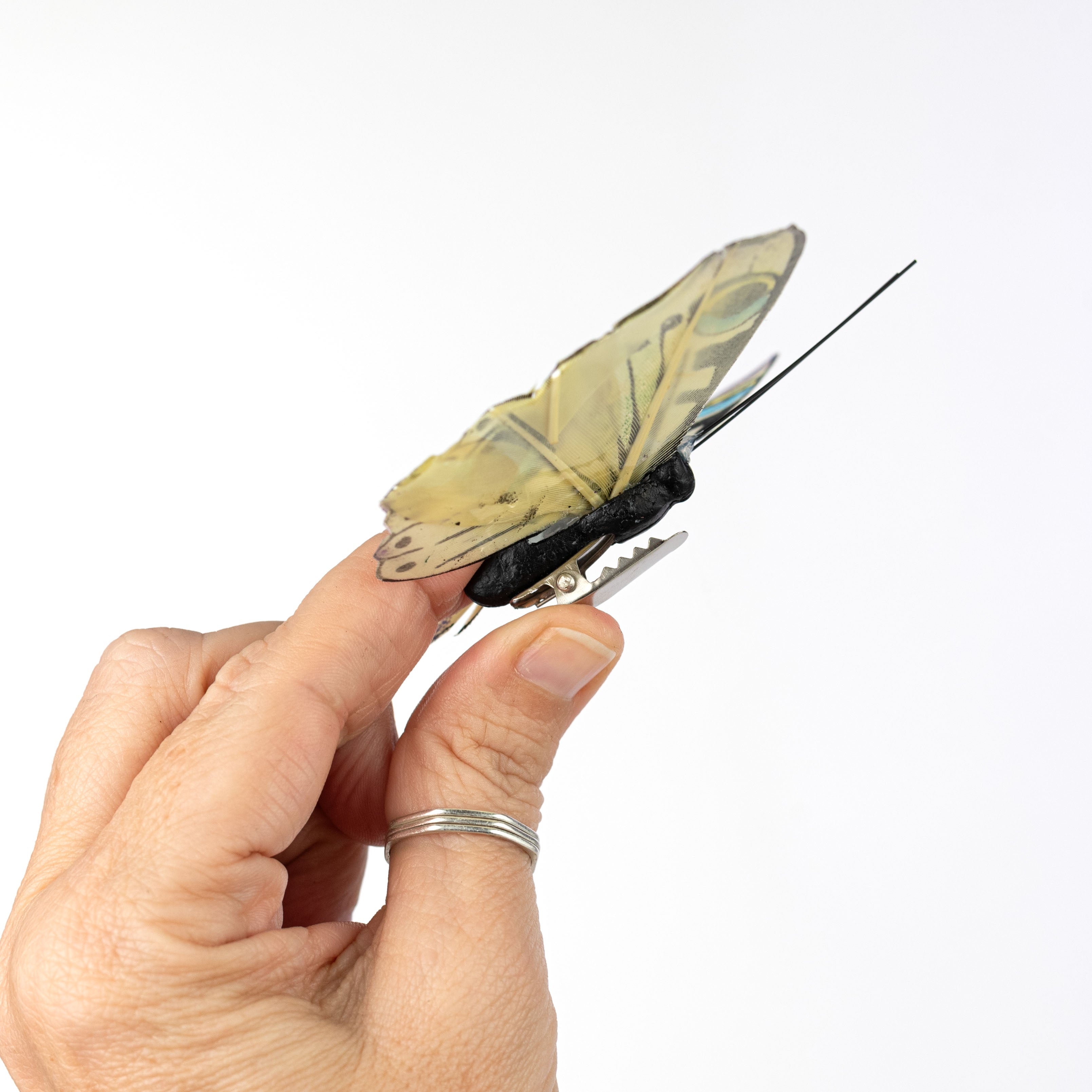 3.75" Peacock Butterfly Clips: 3 Assorted (Box of 12)