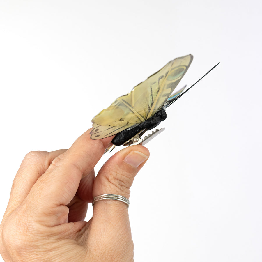 3.75" Peacock Butterfly Clips: 3 Assorted (Box of 12)