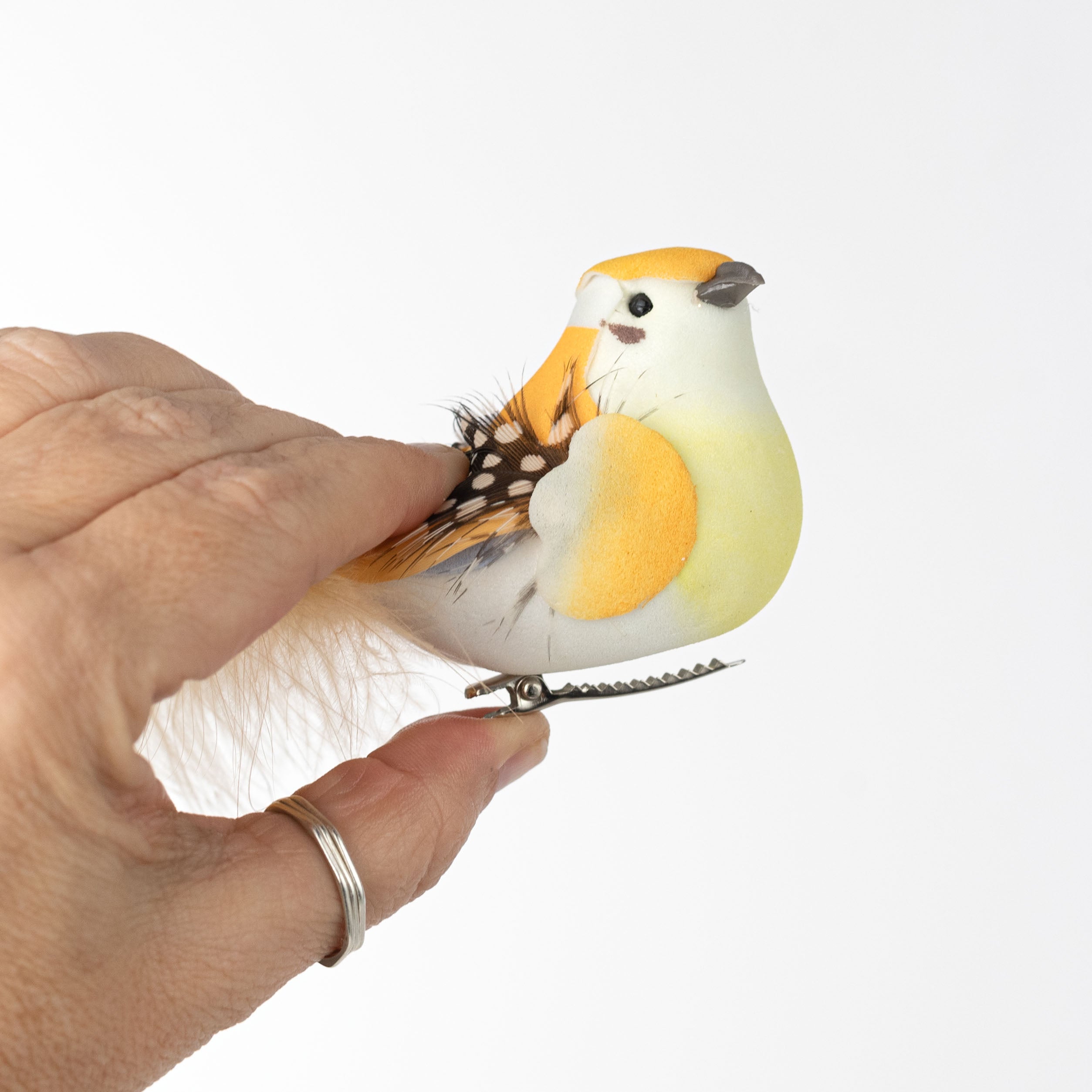 7" Feathered Spring Bird Clips: 3 Assorted (Box of 12)