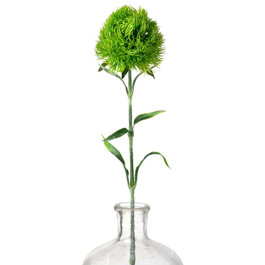 21" Dianthus Green Ball Stem
