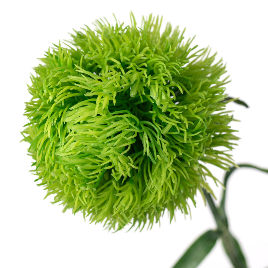21" Dianthus Green Ball Stem