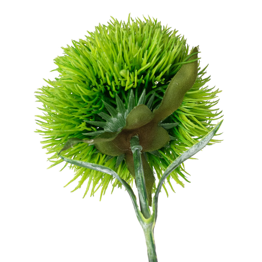 21" Dianthus Green Ball Stem