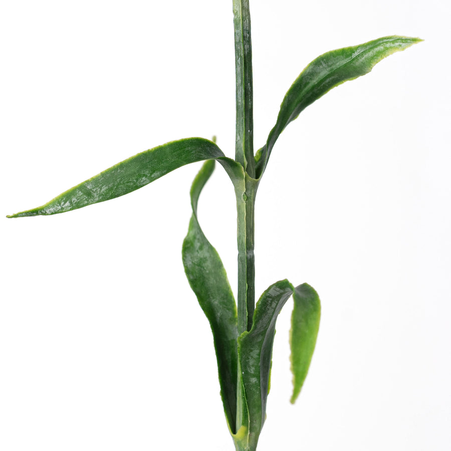 21" Dianthus Green Ball Stem