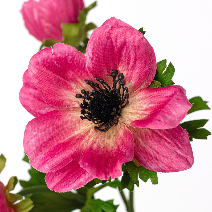 22" Anemone Flower Spray: Beauty Pink