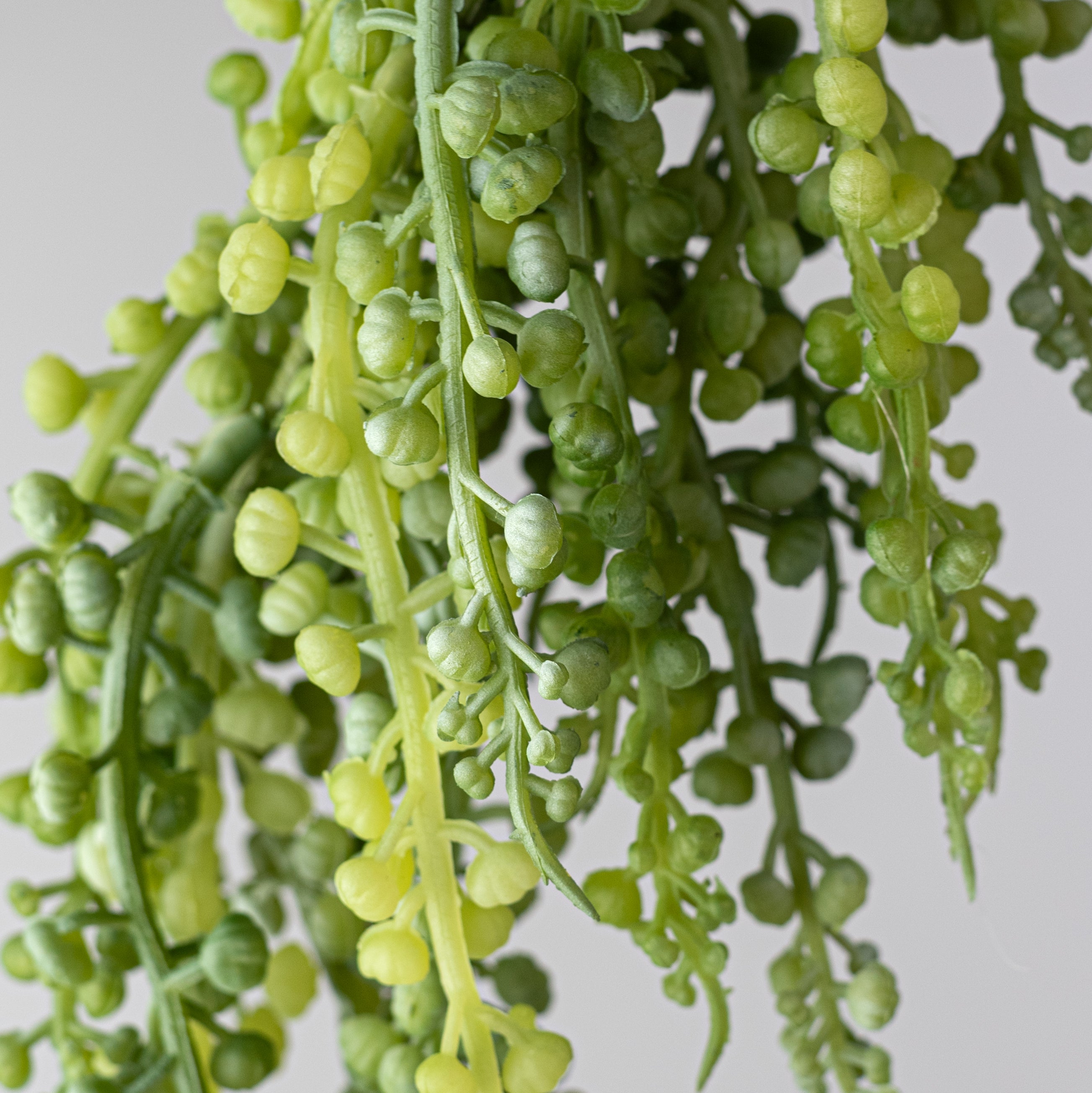 14" Sedum Pick: Light Green