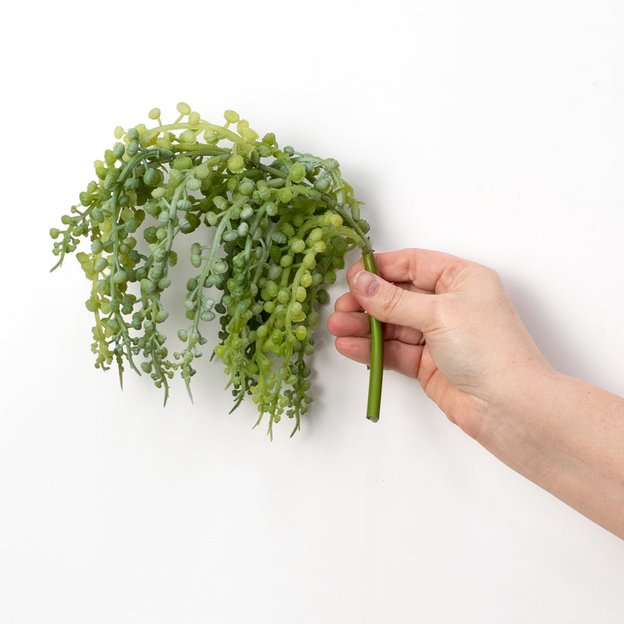 14" Sedum Pick: Light Green