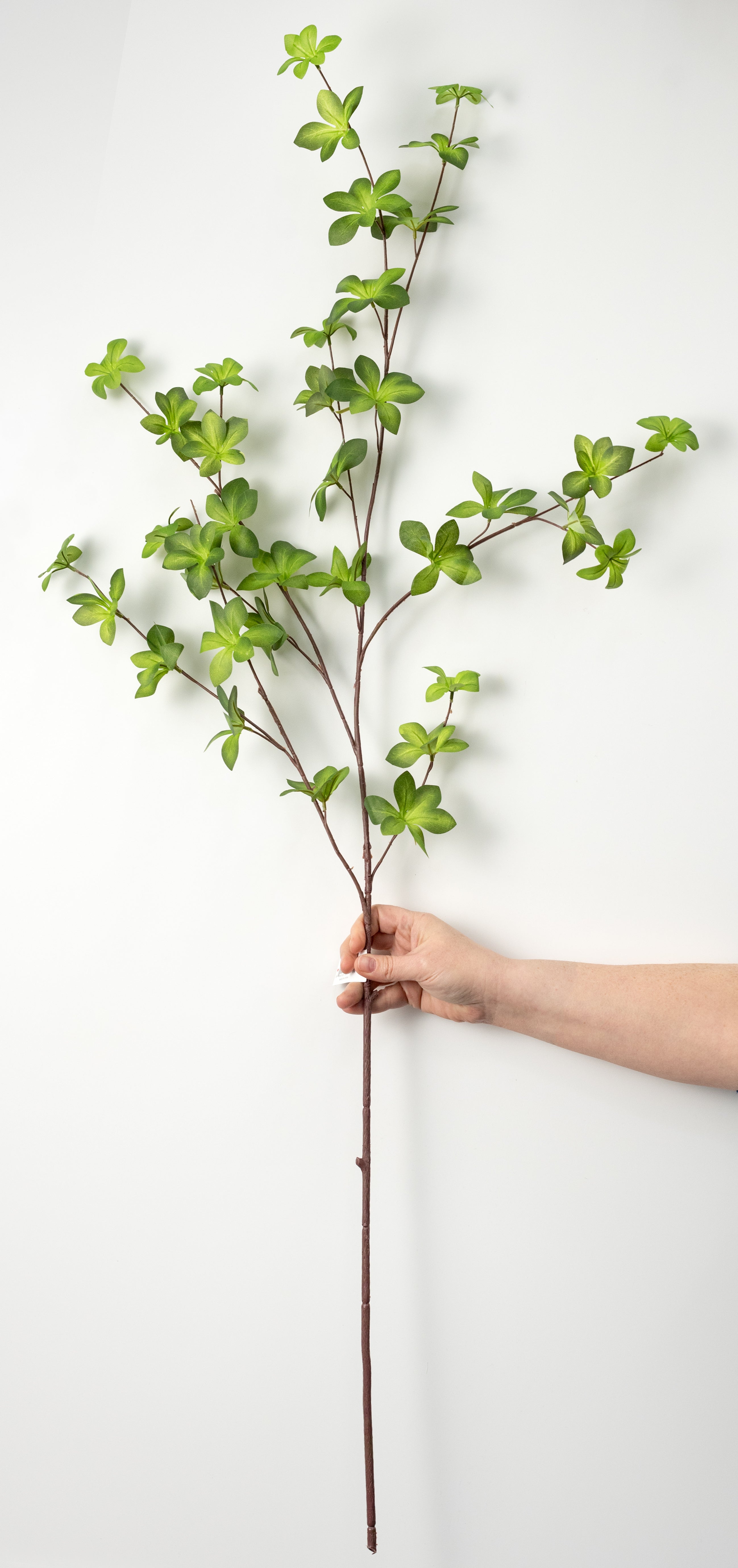 45" Star Ivy Branch: Two-Tone Green