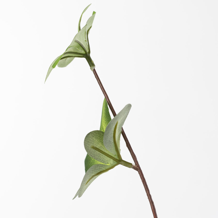 45" Star Ivy Branch: Two-Tone Green