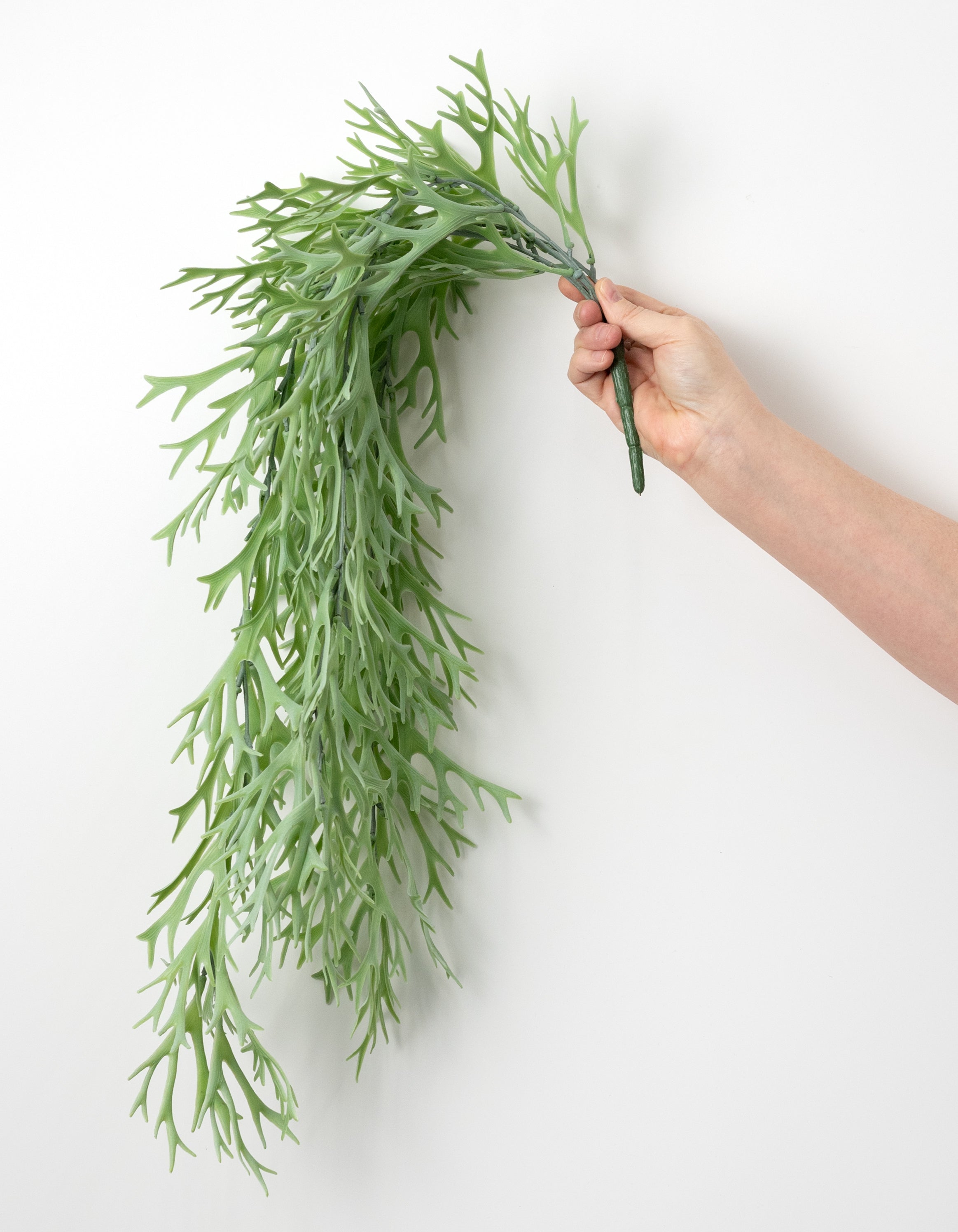 31" Staghorn Fern Vine Hanging Branch