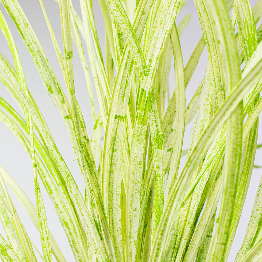 40" Paper Grass Spray: Two-Tone Green