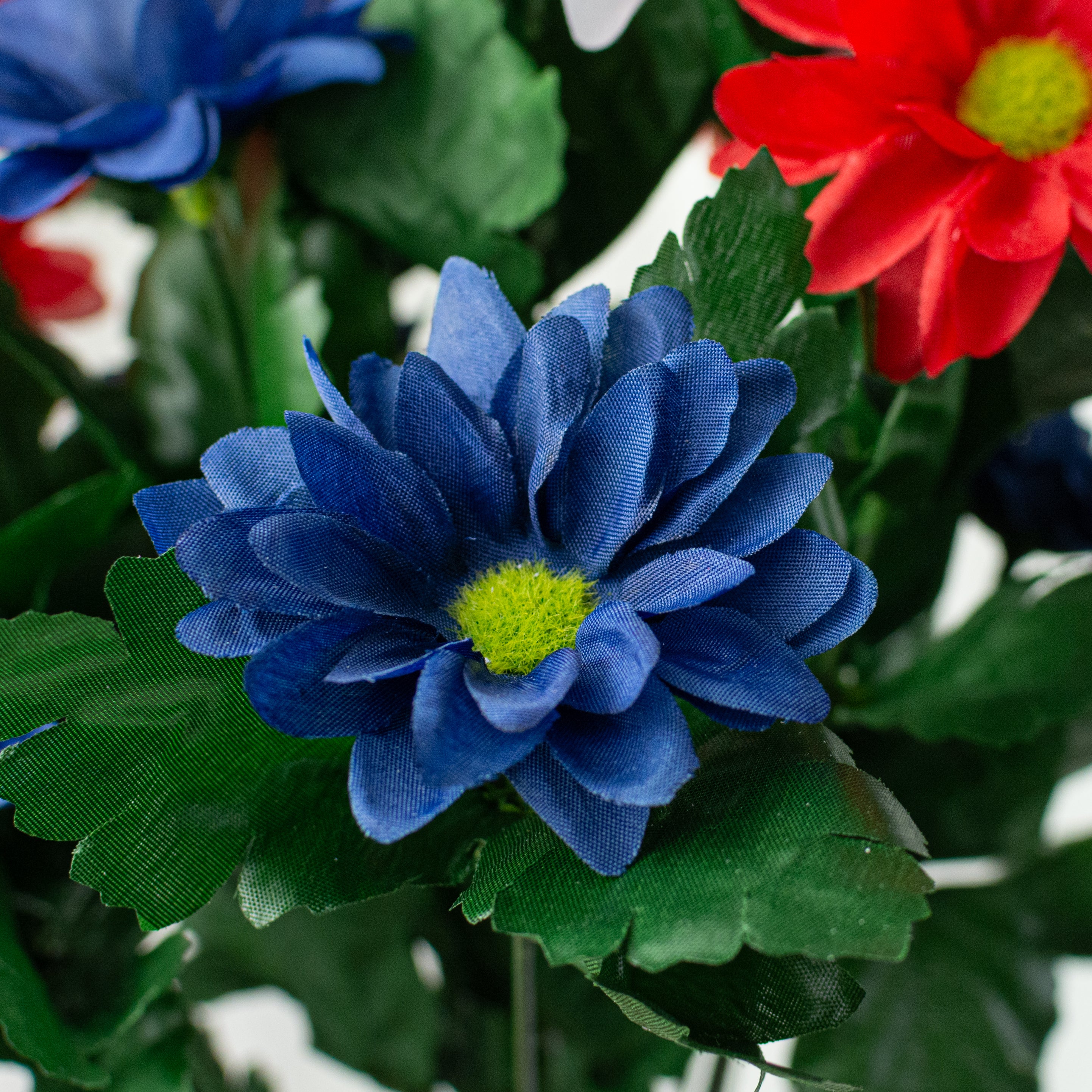 17" Colorfast Daisy Mix Bush: Red, White & Blue (14 Stem)