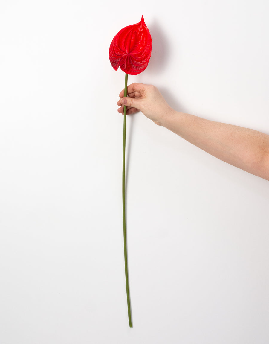 26" Anthurium Stem: Red