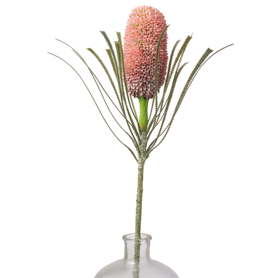 29" Banksia Protea Stem: Burgundy Pink
