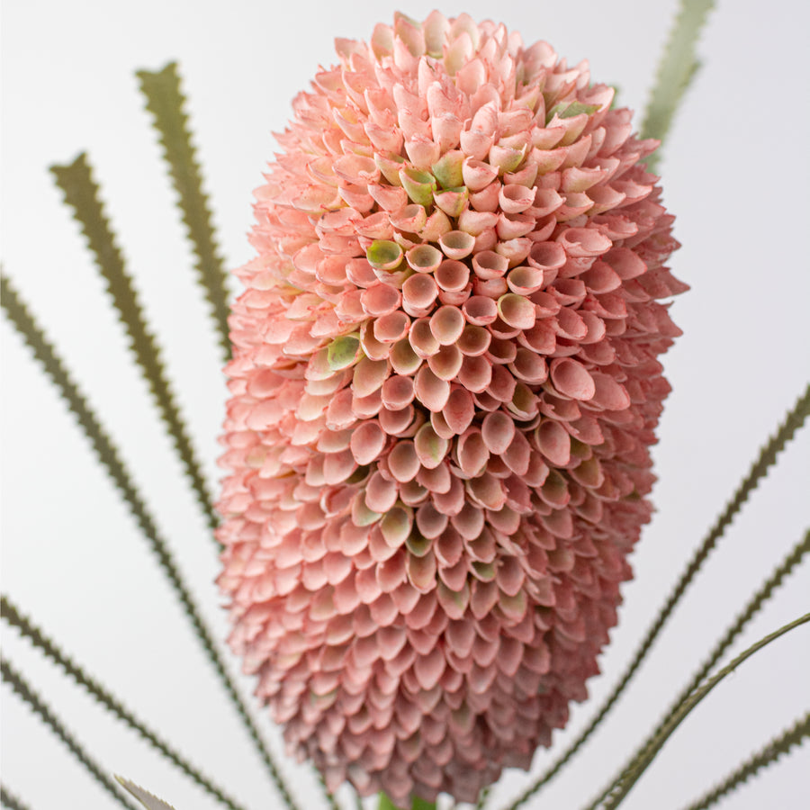29" Banksia Protea Stem: Burgundy Pink