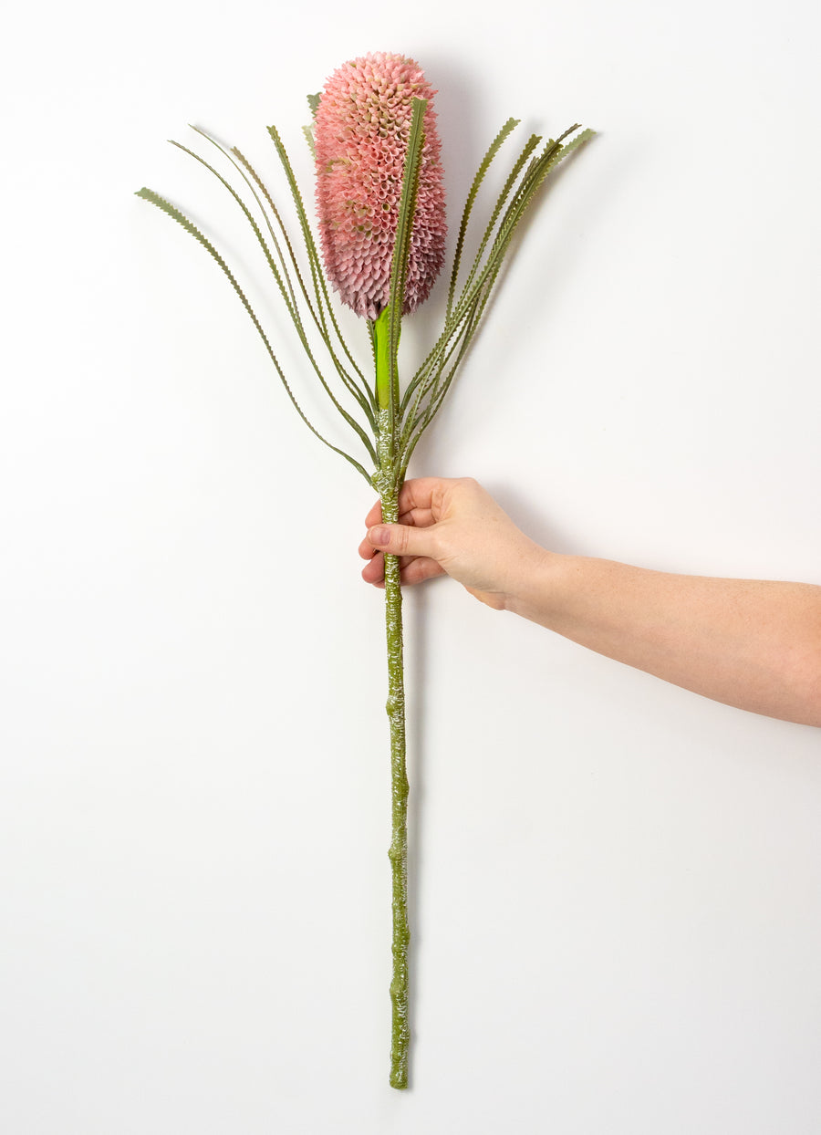 29" Banksia Protea Stem: Burgundy Pink