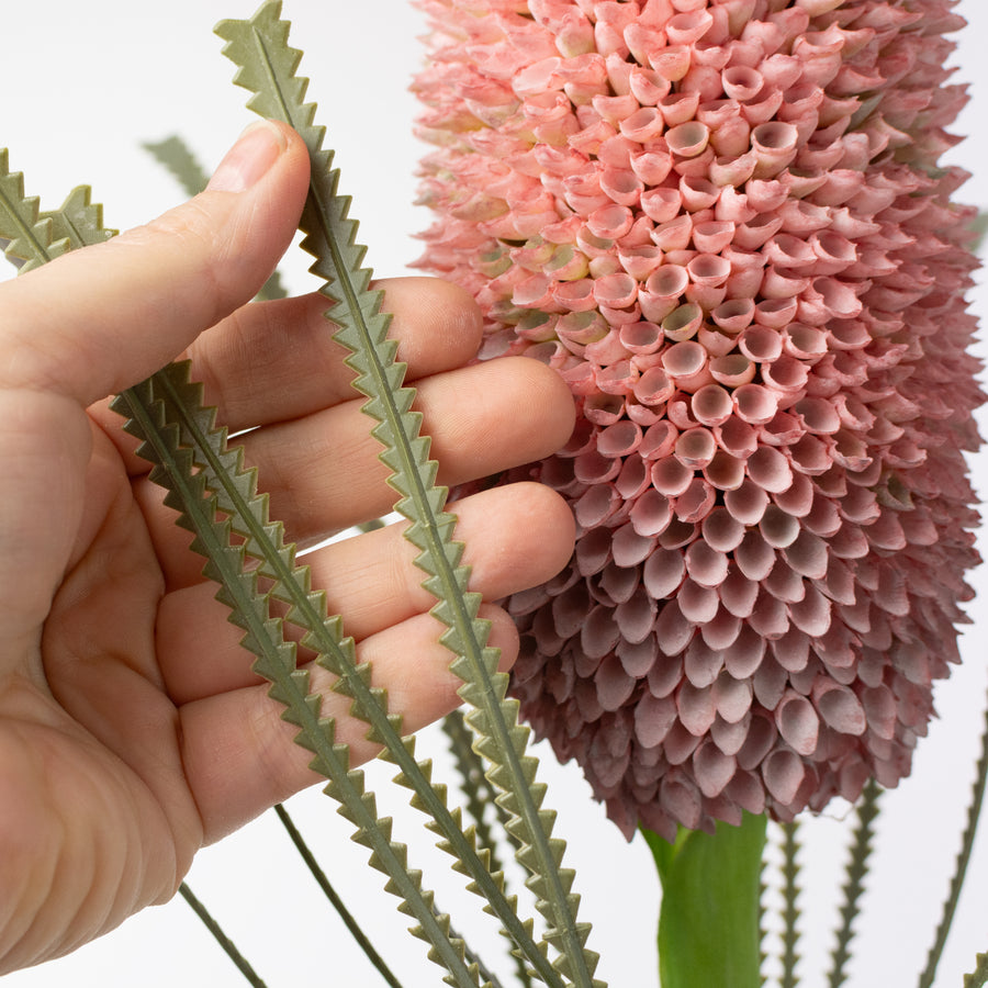 29" Banksia Protea Stem: Burgundy Pink