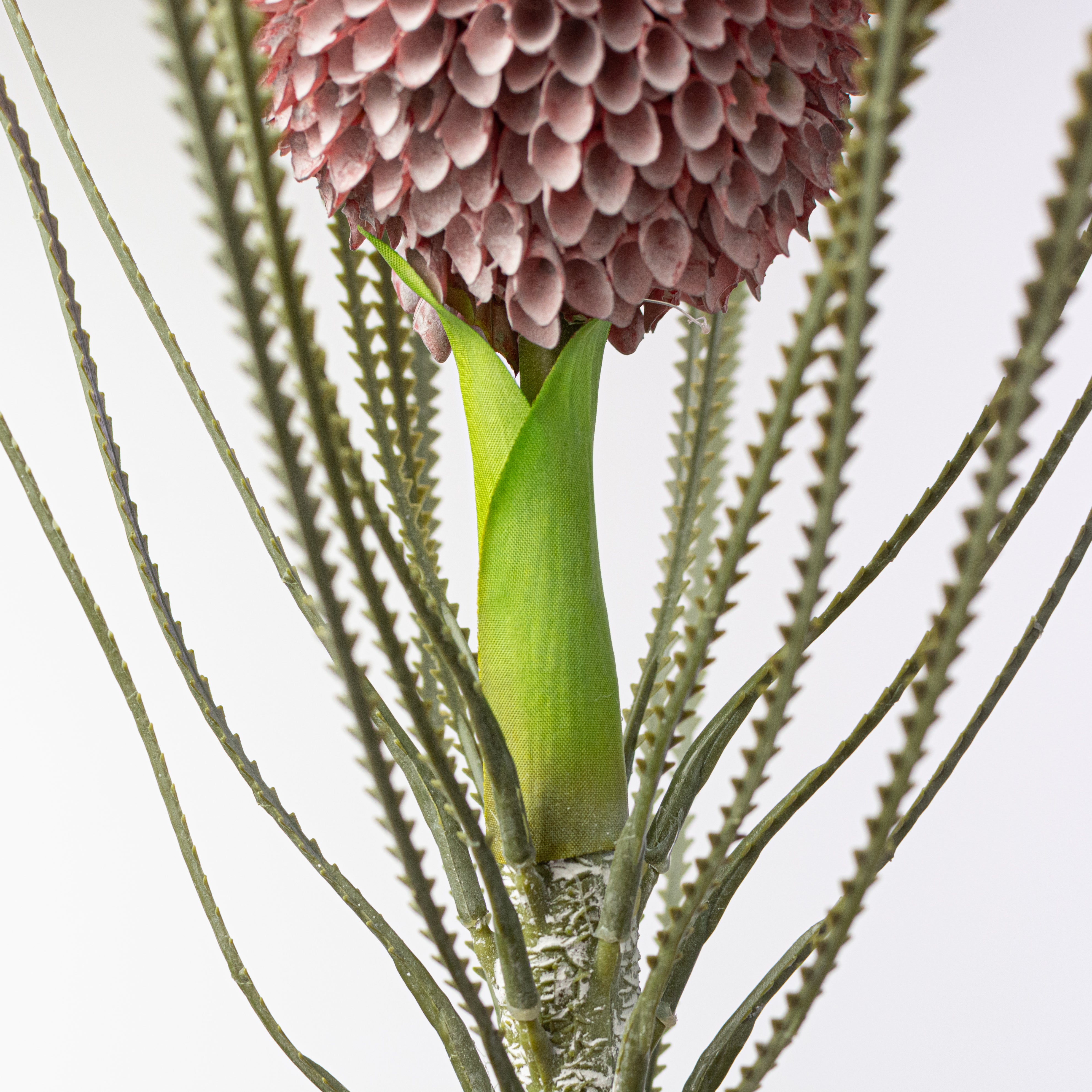 29" Banksia Protea Stem: Burgundy Pink