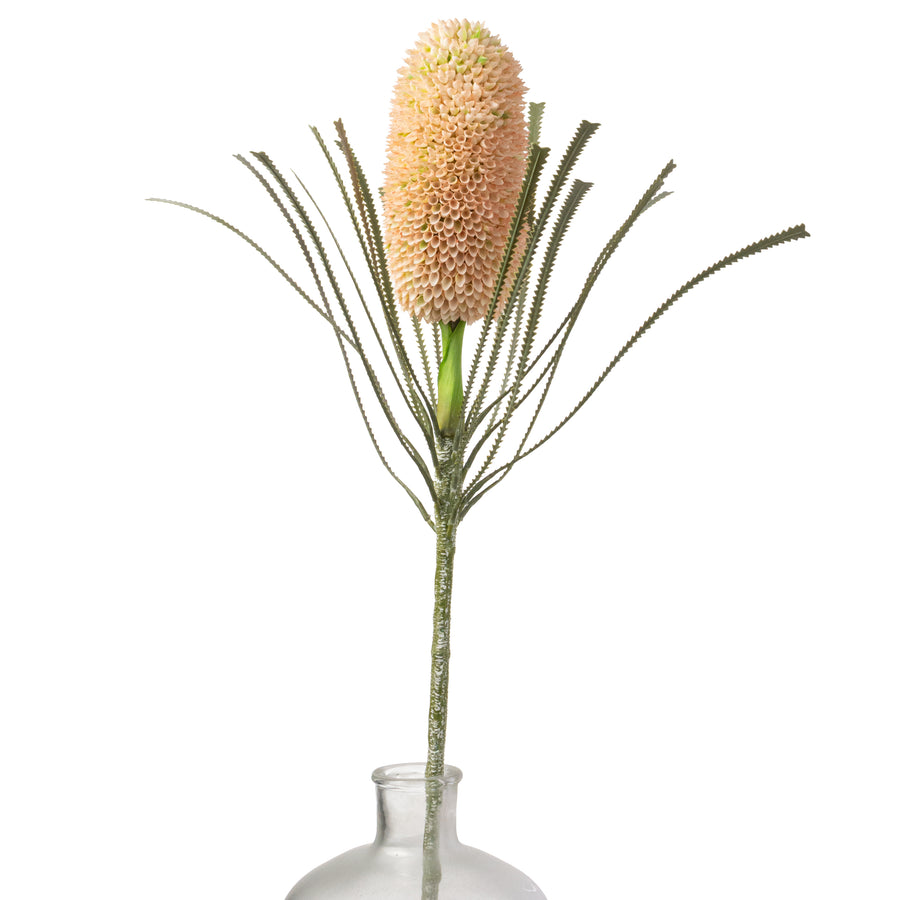 29" Banksia Protea Stem: Cream Peach