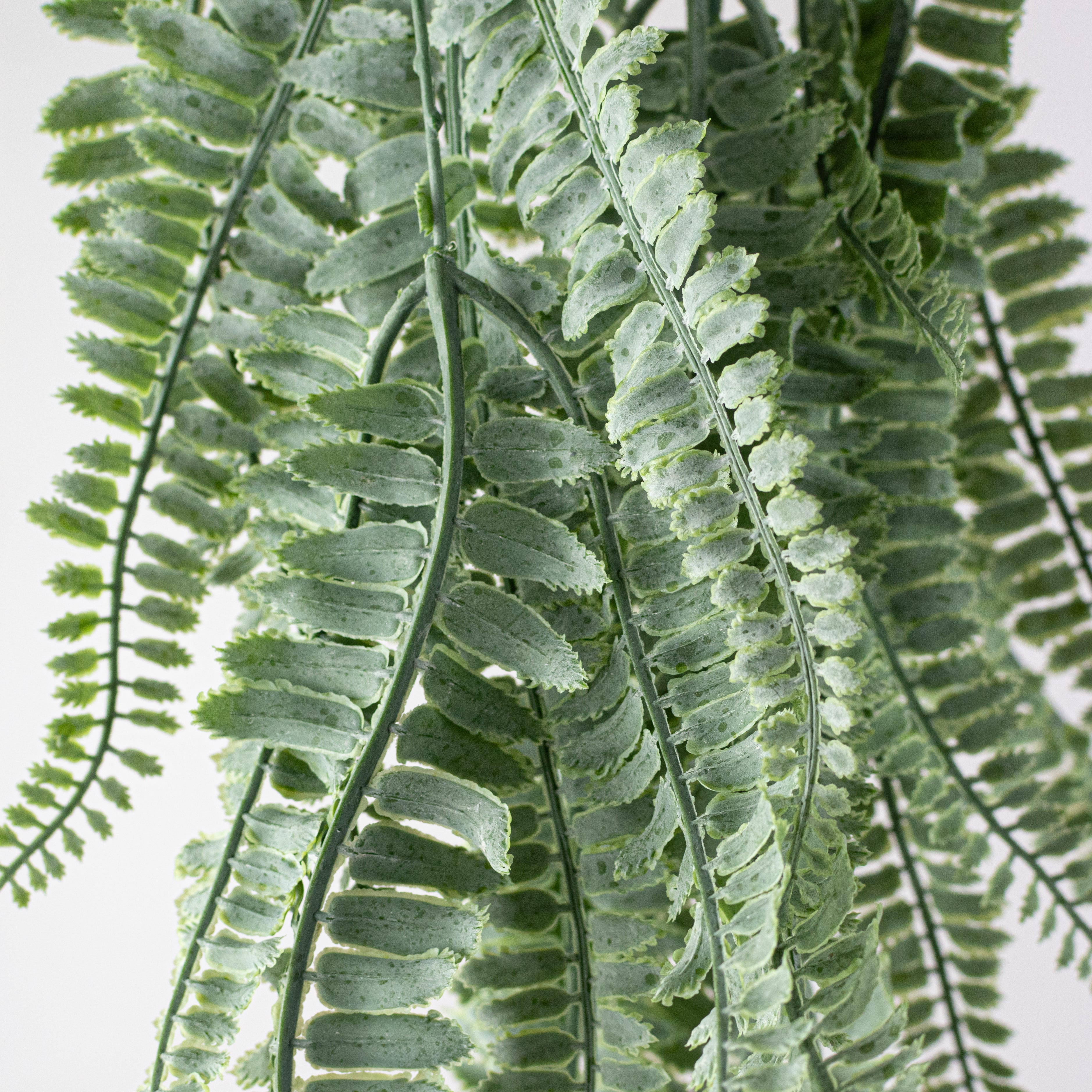 45" Hanging Fern Branch: Dusty Green