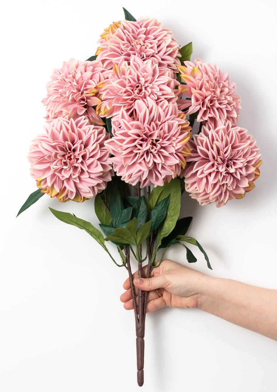 23" Dahlia Bush: Mauve Pink (10 Stem)