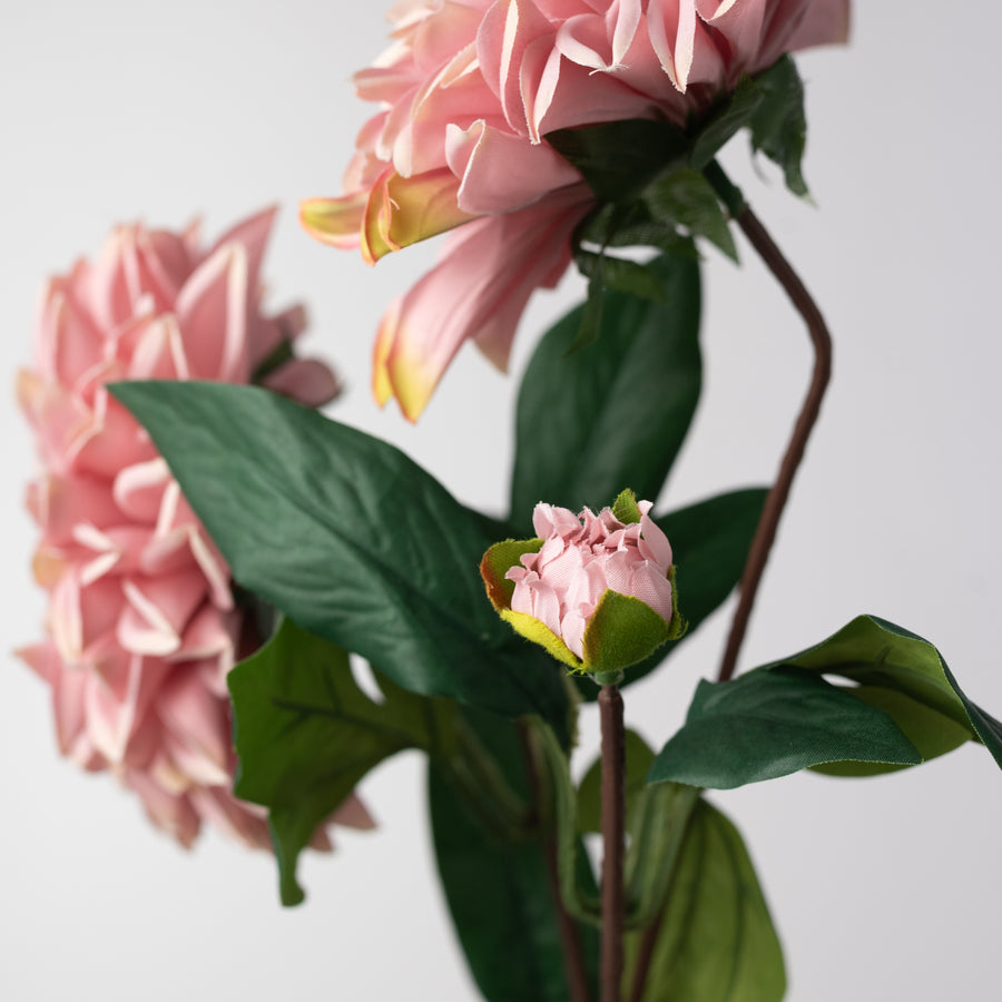 23" Dahlia Bush: Mauve Pink (10 Stem)