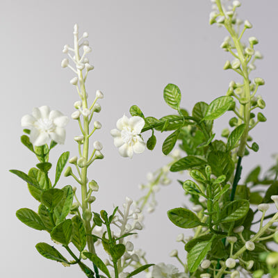 19" Wildflowers & Seeds Bush: Cream (9 Stem)