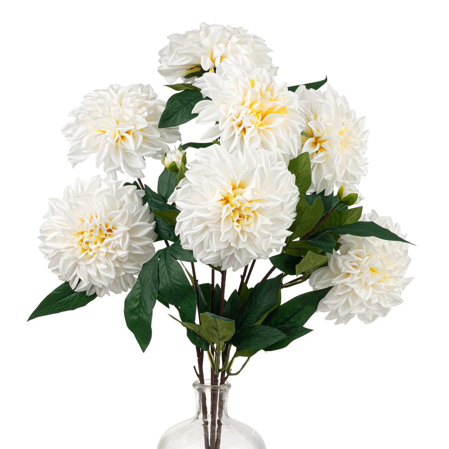 23" Dahlia Bush: Cream White (10 Stem)