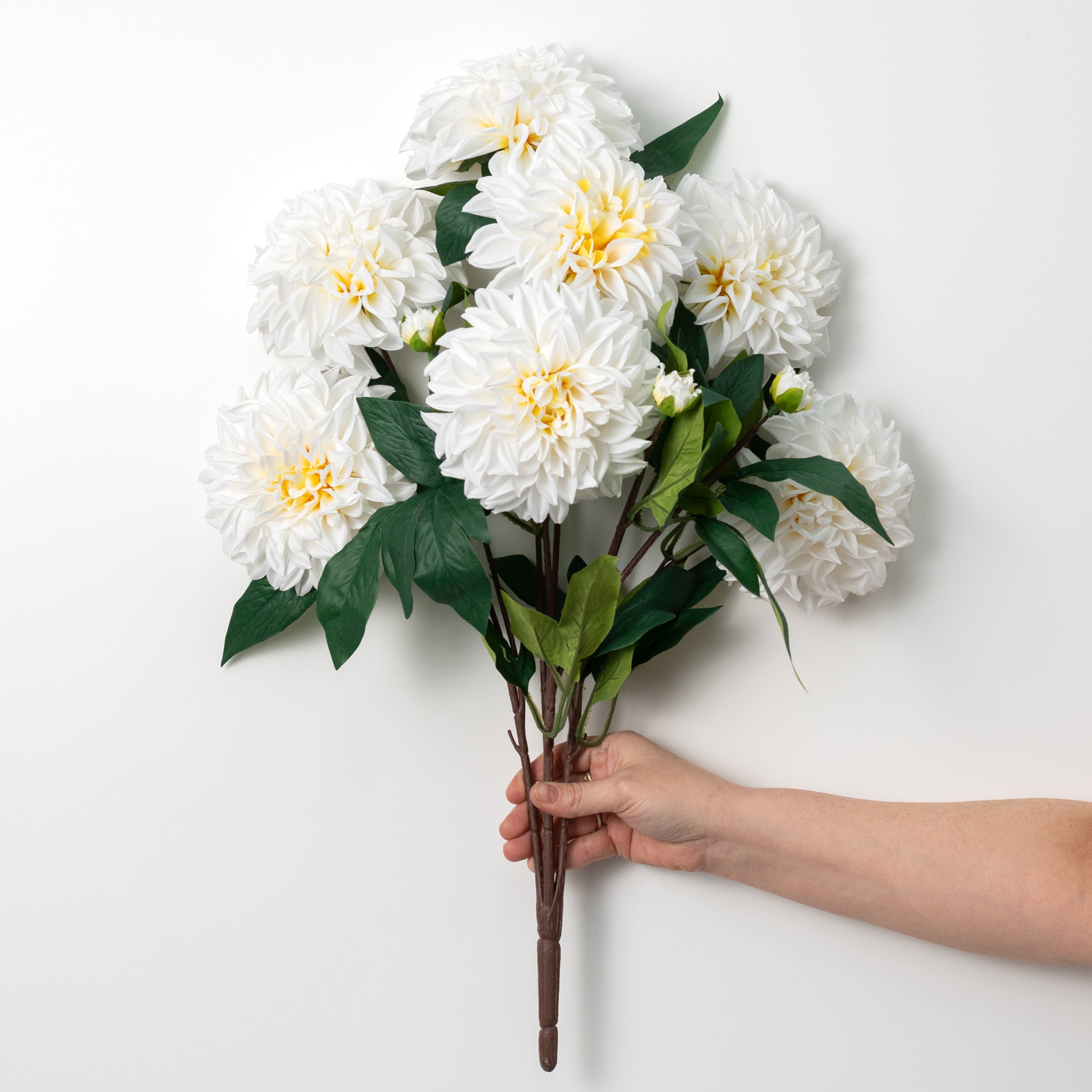 23" Dahlia Bush: Cream White (10 Stem)