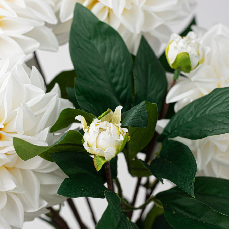 23" Dahlia Bush: Cream White (10 Stem)