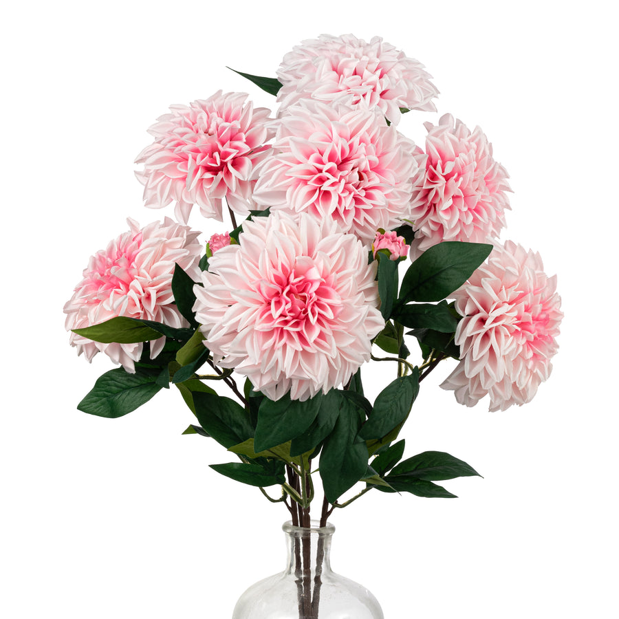 23" Dahlia Bush: Pink (10 Stem)