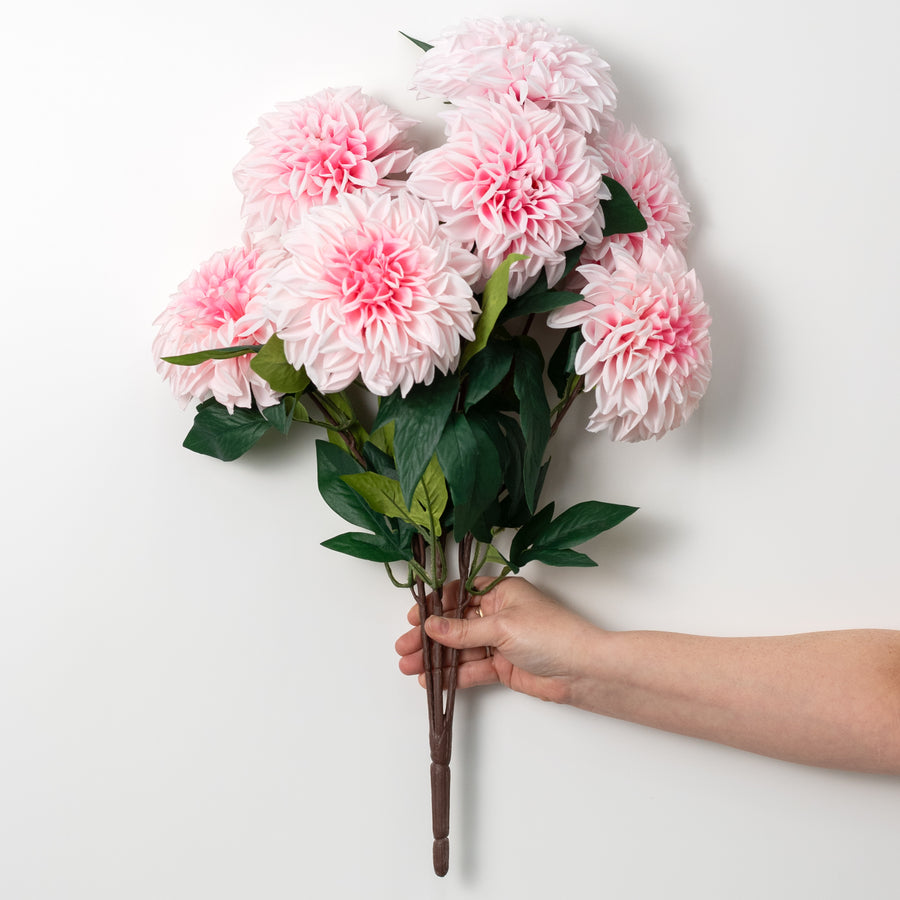 23" Dahlia Bush: Pink (10 Stem)