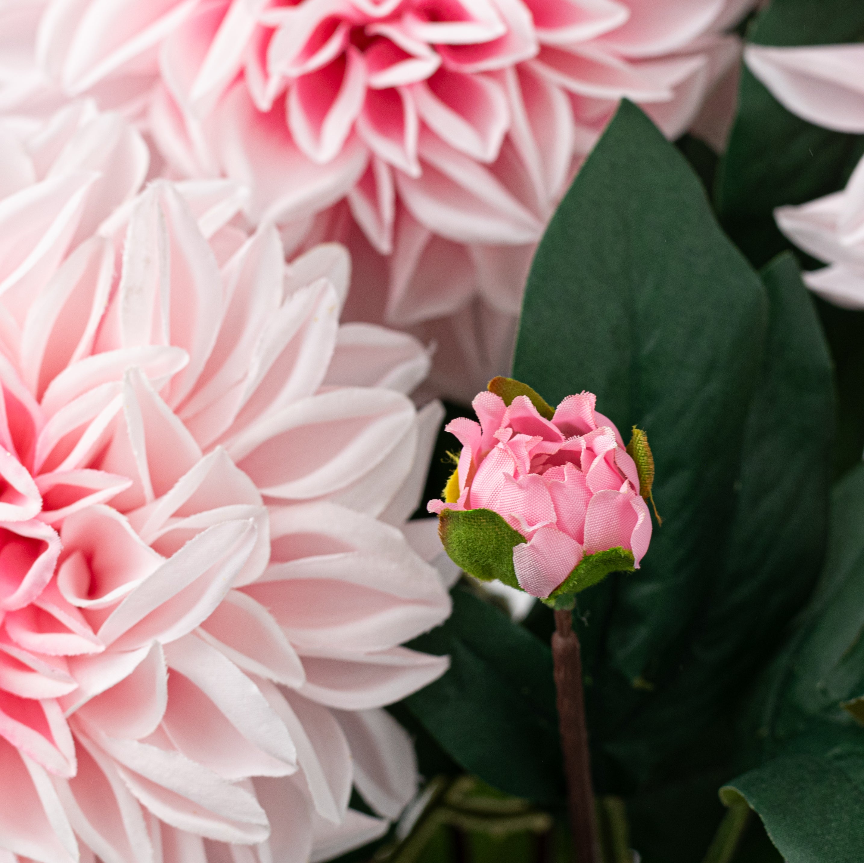23" Dahlia Bush: Pink (10 Stem)
