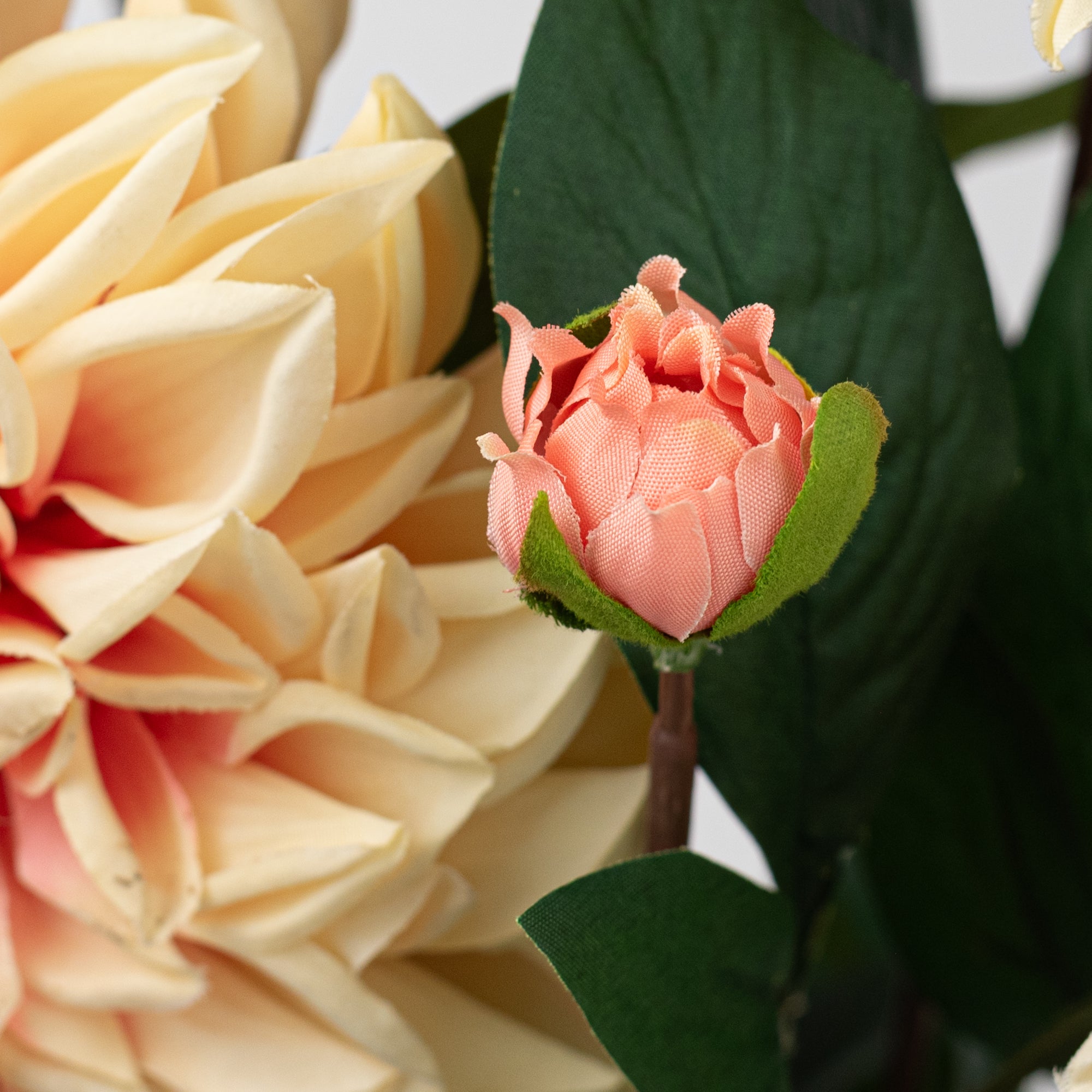 23" Dahlia Bush: Peach (10 Stem)