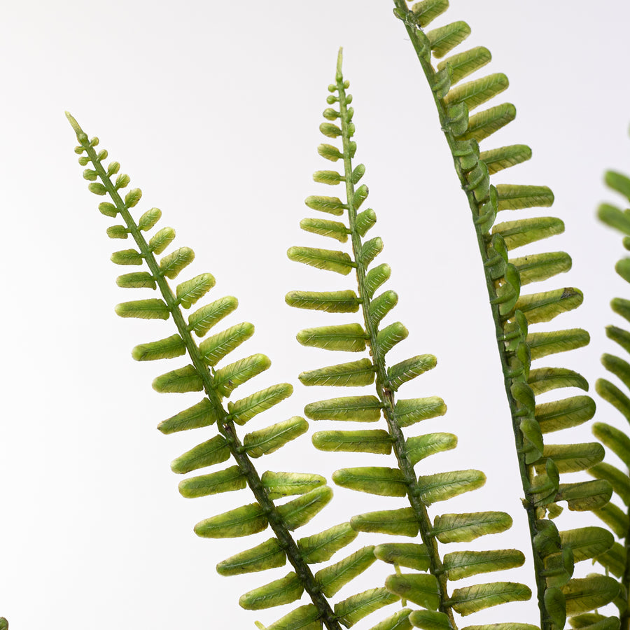 17" Plastic Fern Fronds Bush (7 Stem)
