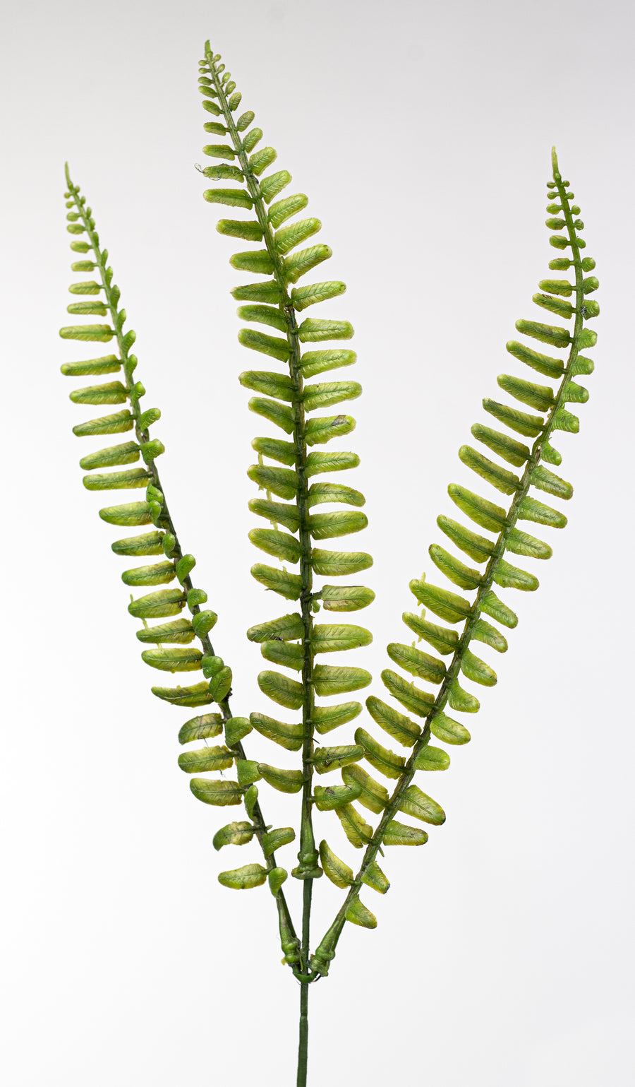 17" Plastic Fern Fronds Bush (7 Stem)