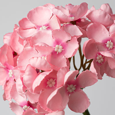 5" x 13" English Hydrangea Stem: Pink