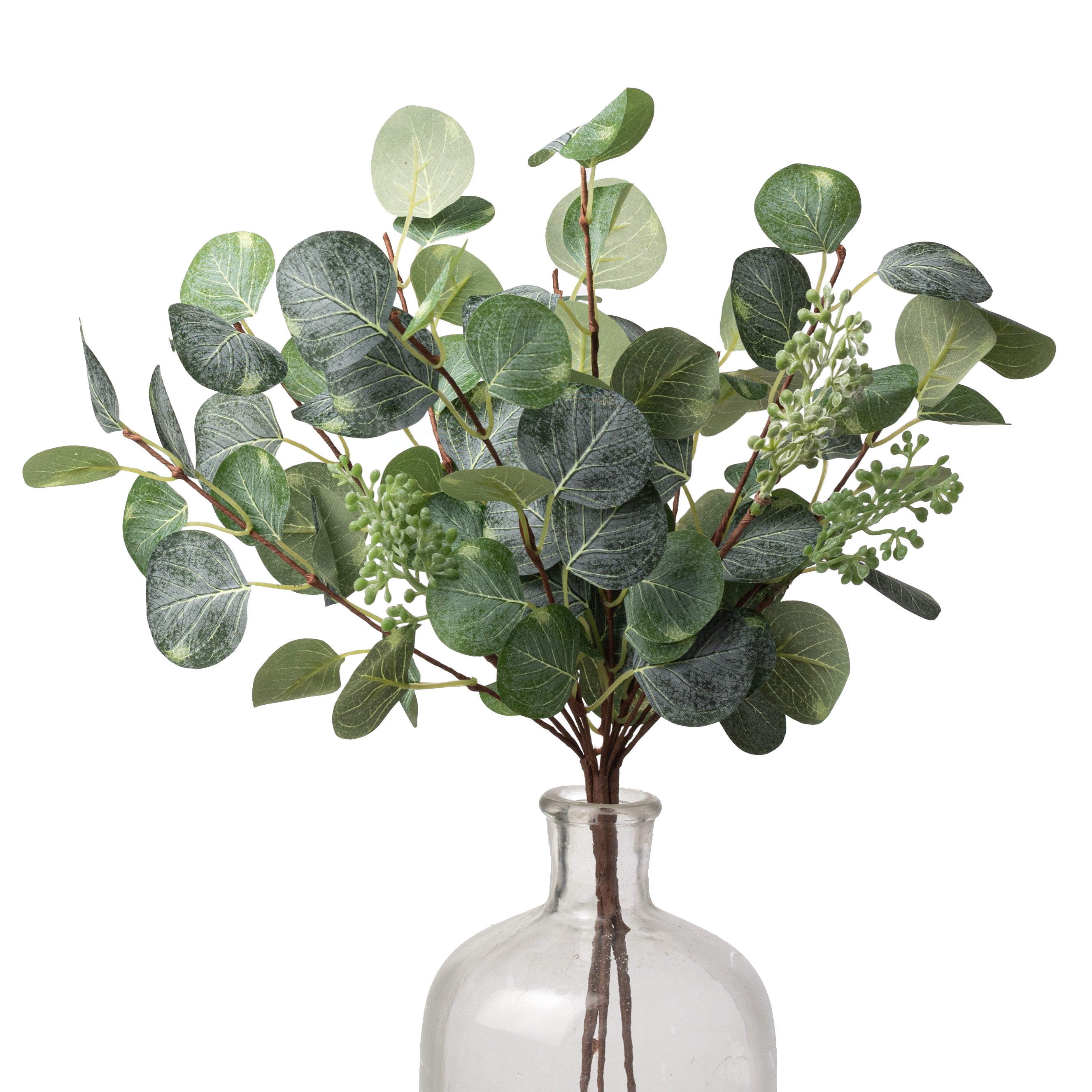16" Silver Dollar Eucalyptus Leaves Bundle