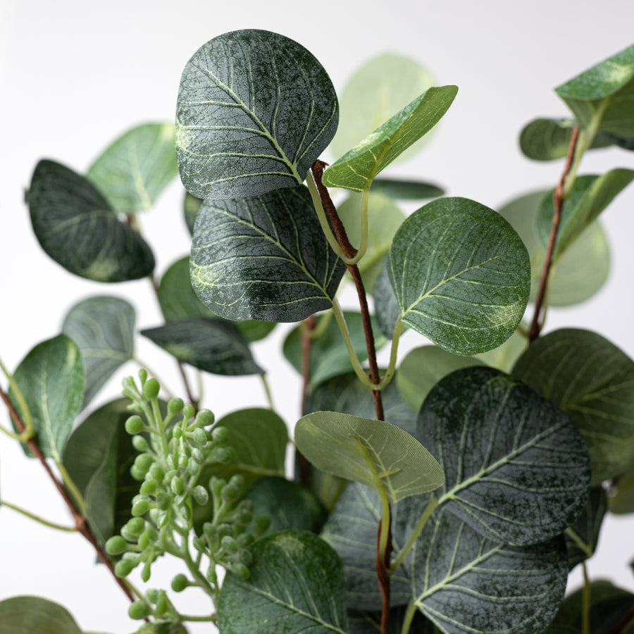 16" Silver Dollar Eucalyptus Leaves Bundle
